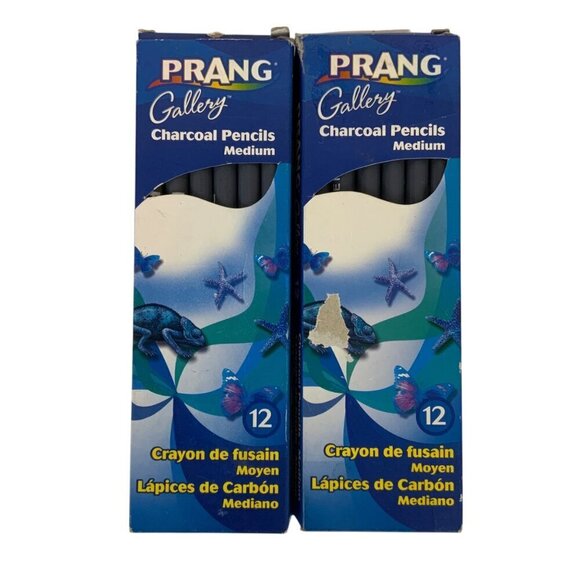Prang Gallery DIX60200 Peel Off Charcoal Pencils 2 Boxes of 12 Medium Grade - Picture 1 of 5
